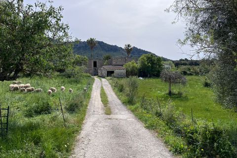 Landejendom i Arta, Mallorca, Arta - € 350.000 | Ref: 5994W - foto 3