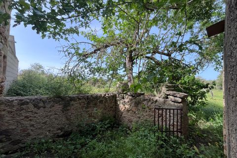 Landejendom i Arta, Mallorca, Arta - € 350.000 | Ref: 5994W - foto 7