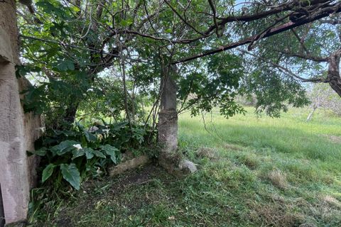 Landejendom i Arta, Mallorca, Arta - € 350.000 | Ref: 5994W - foto 15