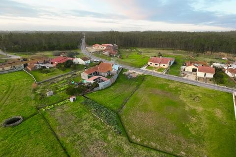 Villa i Pombal, Leiria, Pombal - € 330.000 | Ref: FFIM6293 - foto 19