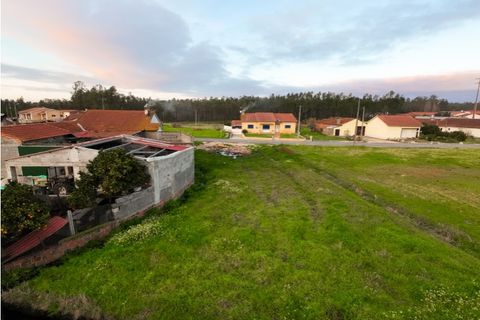 Villa i Pombal, Leiria, Pombal - € 330.000 | Ref: FFIM6293 - foto 23