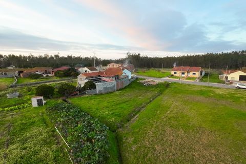 Villa i Pombal, Leiria, Pombal - € 330.000 | Ref: FFIM6293 - foto 24