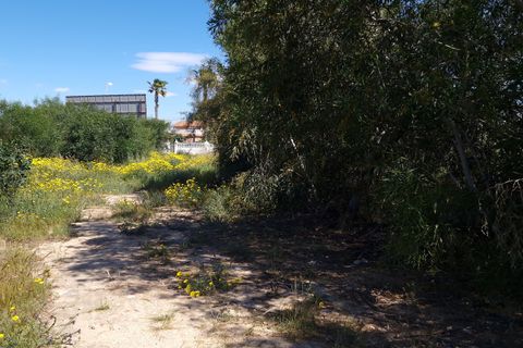 Tomt i Torrevieja, Alicante, Torrevieja - € 180 000 | Ref: SPS6637 - foto 3