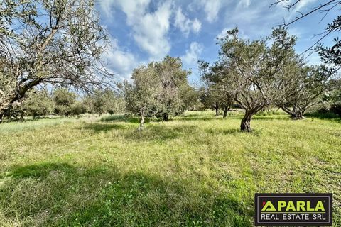 Lejlighed i Messina, Messina, Messina - € 1.000.000 | Ref: 85407435 - foto 6