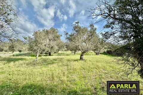 Lejlighed i Messina, Messina, Messina - € 1.000.000 | Ref: 85407435 - foto 7