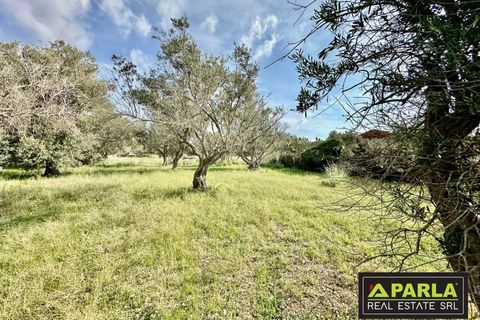 Lejlighed i Messina, Messina, Messina - € 1.000.000 | Ref: 85407435 - foto 8