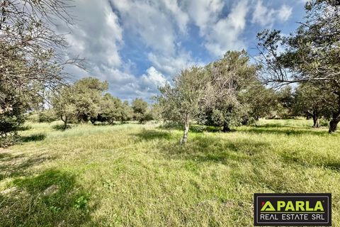 Lejlighed i Messina, Messina, Messina - € 1.000.000 | Ref: 85407435 - foto 9