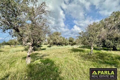 Lejlighed i Messina, Messina, Messina - € 1.000.000 | Ref: 85407435 - foto 10