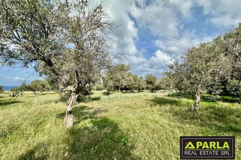 Lejlighed i Messina, Messina, Messina - € 1.000.000 | Ref: 85407435 - foto 11
