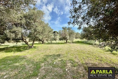 Lejlighed i Messina, Messina, Messina - € 1.000.000 | Ref: 85407435 - foto 13