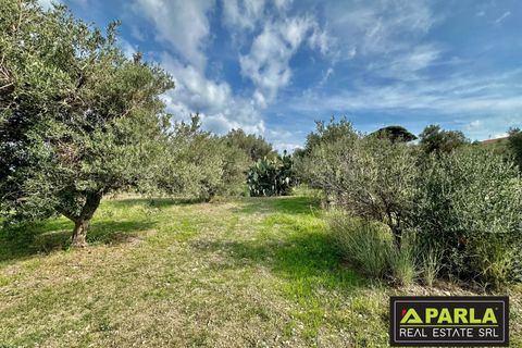 Lejlighed i Messina, Messina, Messina - € 1.000.000 | Ref: 85407435 - foto 16