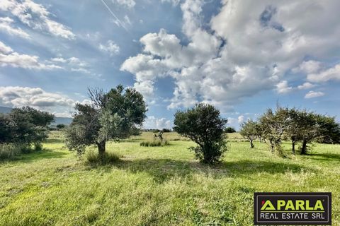 Lejlighed i Messina, Messina, Messina - € 1.000.000 | Ref: 85407435 - foto 20