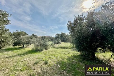 Lejlighed i Messina, Messina, Messina - € 1.000.000 | Ref: 85407435 - foto 22