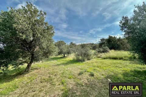 Lejlighed i Messina, Messina, Messina - € 1.000.000 | Ref: 85407435 - foto 24