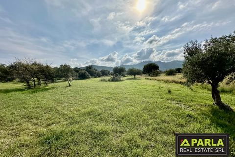 Lejlighed i Messina, Messina, Messina - € 1.000.000 | Ref: 85407435 - foto 31