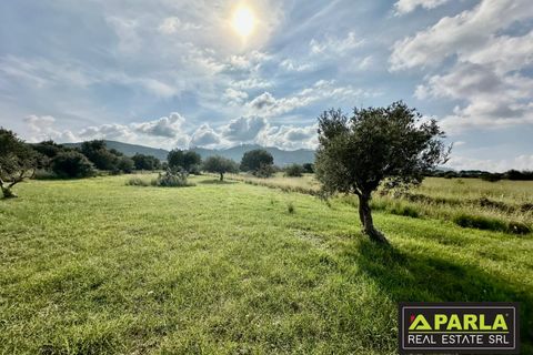 Lejlighed i Messina, Messina, Messina - € 1.000.000 | Ref: 85407435 - foto 32