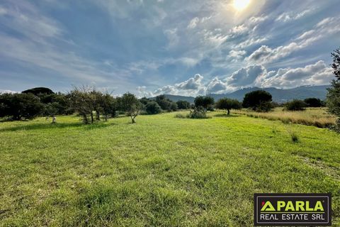 Lejlighed i Messina, Messina, Messina - € 1.000.000 | Ref: 85407435 - foto 33
