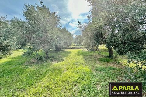 Lejlighed i Messina, Messina, Messina - € 1.000.000 | Ref: 85407435 - foto 36