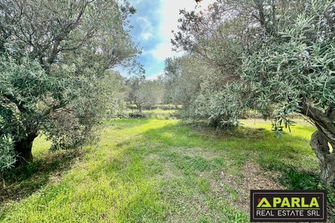 Lejlighed i Messina, Messina, Messina - € 1.000.000 | Ref: 85407435 - foto 37