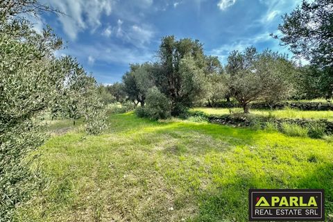 Lejlighed i Messina, Messina, Messina - € 1.000.000 | Ref: 85407435 - foto 38