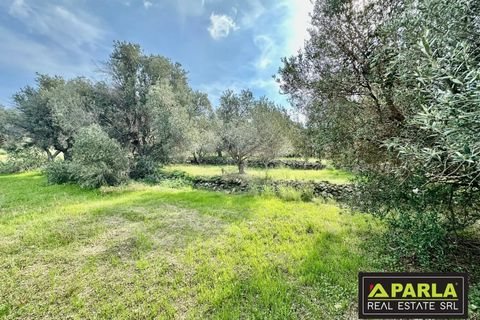 Lejlighed i Messina, Messina, Messina - € 1.000.000 | Ref: 85407435 - foto 39