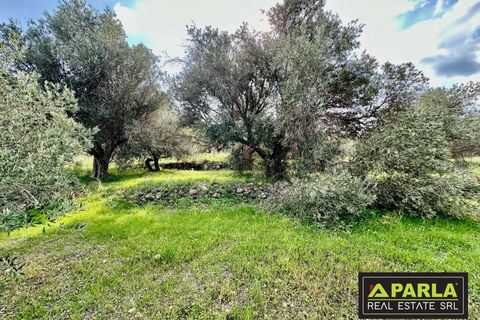 Lejlighed i Messina, Messina, Messina - € 1.000.000 | Ref: 85407435 - foto 40
