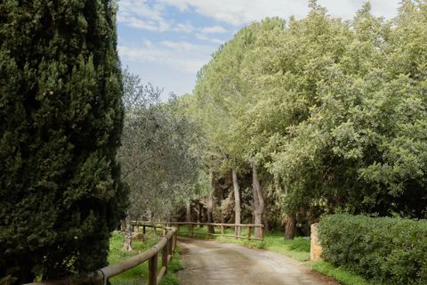 Villa i Canicatti, Agrigento, Canicatti - € 990.000 | Ref: 85668111 - foto 33