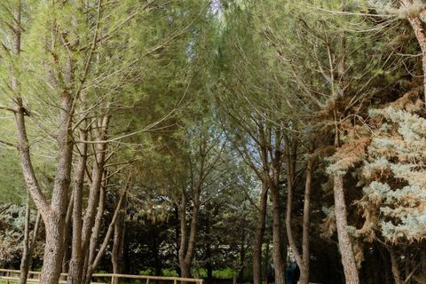Villa i Canicatti, Agrigento, Canicatti - € 990.000 | Ref: 85668111 - foto 36