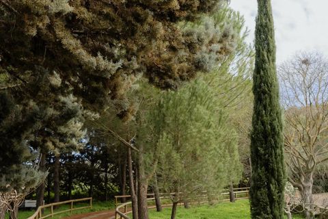 Villa i Canicatti, Agrigento, Canicatti - € 990.000 | Ref: 85668111 - foto 42
