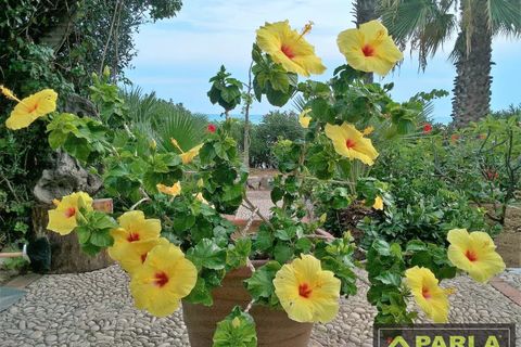 Villa a Sciacca, Agrigento, Sciacca - € 2.000.000 | Ref: 85714750 - foto 24