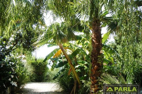 Villa a Sciacca, Agrigento, Sciacca - € 2.000.000 | Ref: 85714750 - foto 29