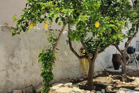 Villa i Custonaci, Trapani, Custonaci - € 240.000 | Ref: 86917692 - foto 24