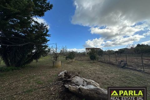 Villa i Canicatti, Agrigento, Canicatti - € 120.000 | Ref: 86920432 - foto 5