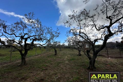 Villa i Canicatti, Agrigento, Canicatti - € 120.000 | Ref: 86920432 - foto 9