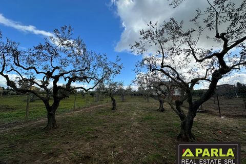 Villa i Canicatti, Agrigento, Canicatti - € 120.000 | Ref: 86920432 - foto 10