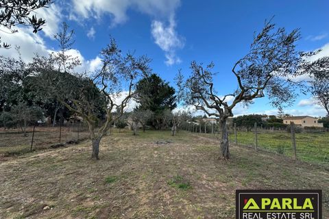 Villa i Canicatti, Agrigento, Canicatti - € 120.000 | Ref: 86920432 - foto 11