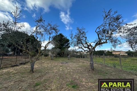 Villa i Canicatti, Agrigento, Canicatti - € 120.000 | Ref: 86920432 - foto 12