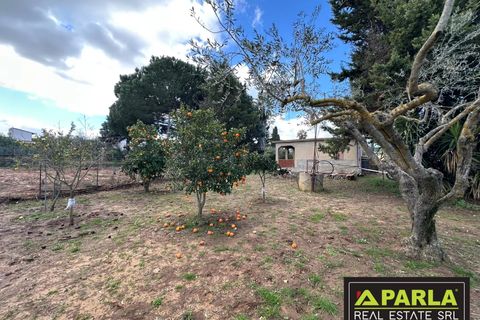 Villa i Canicatti, Agrigento, Canicatti - € 120.000 | Ref: 86920432 - foto 13