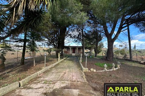 Villa i Canicatti, Agrigento, Canicatti - € 120.000 | Ref: 86920432 - foto 40