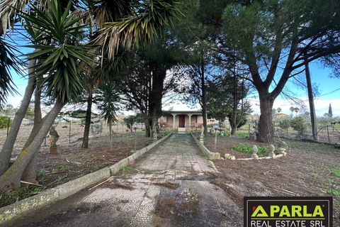 Villa i Canicatti, Agrigento, Canicatti - € 120.000 | Ref: 86920432 - foto 48