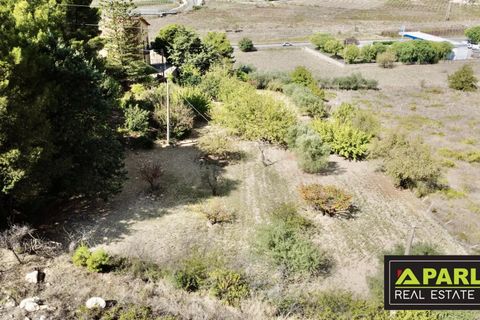 Villa a Canicatti, Agrigento, Canicatti - € 160.000 | Ref: 86920517 - foto 11