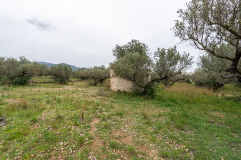 Finca i Roquetes, Tarragona, Roquetes - € 20.000 | Ref: 351 - foto 7
