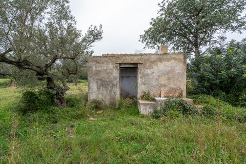 Finca i Roquetes, Tarragona, Roquetes - € 20.000 | Ref: 351 - foto 1