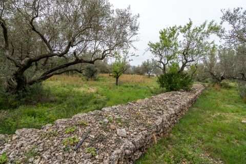 Finca i Roquetes, Tarragona, Roquetes - € 20.000 | Ref: 351 - foto 9