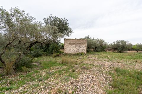 Finca i Roquetes, Tarragona, Roquetes - € 20.000 | Ref: 351 - foto 6