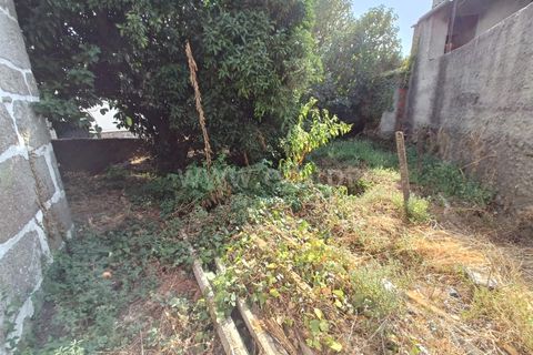 Villa a Nelas, Viseu, Nelas - € 59.900 | Ref: 389250174 - foto 10