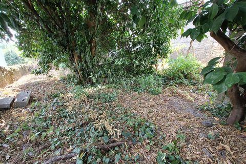 Villa a Nelas, Viseu, Nelas - € 59.900 | Ref: 389250174 - foto 11