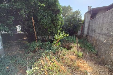 Villa a Nelas, Viseu, Nelas - € 59.900 | Ref: 389250174 - foto 12