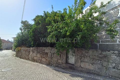 Villa a Nelas, Viseu, Nelas - € 59.900 | Ref: 389250174 - foto 16