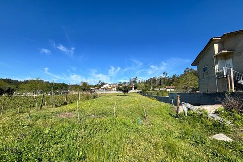 Helårsgrund i Viseu, Viseu, Viseu - € 27.500 | Ref: 389260064 - foto 5